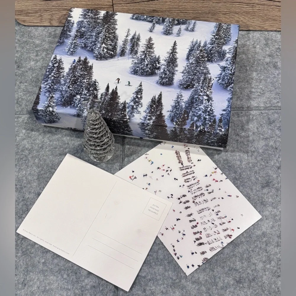 🎄❄️🎄 Gray Malin 
